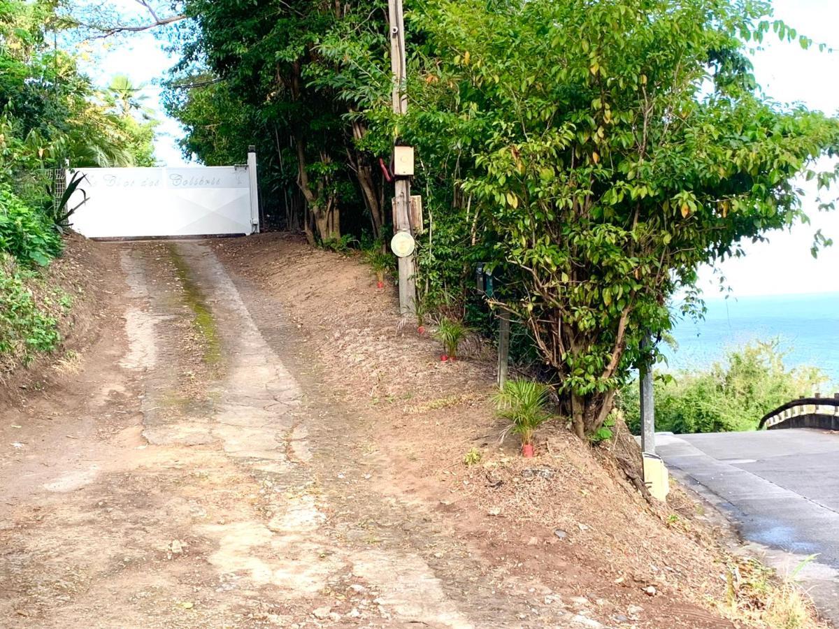 Lodge Pamplemousse Avec Piscine Privative , Dans Parc Calme A 500 M Plage Le Carbet Exterior foto